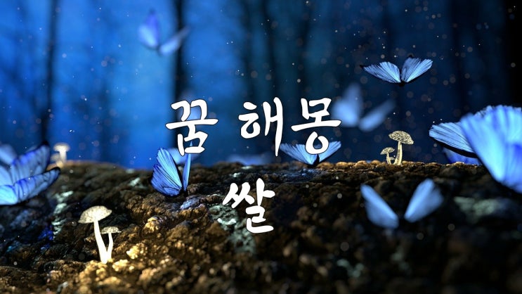  쌀꿈 해몽 쌀 씻는 꿈 쏟아지는 꿈 생쌀 먹는 꿈 쌀 가마니