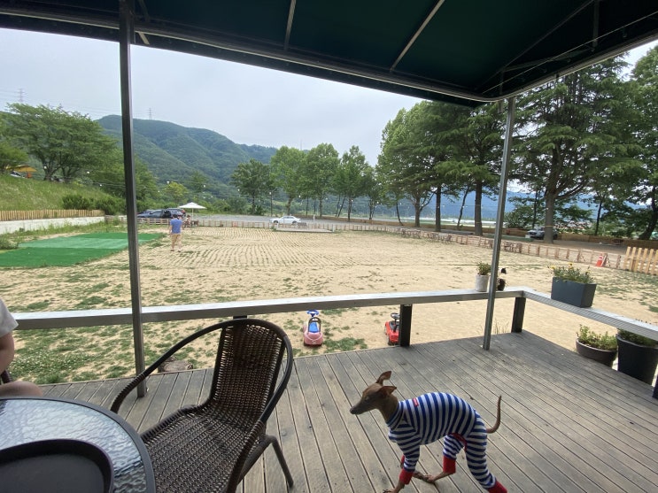  대구 근교 애견카페 징검다리연구소