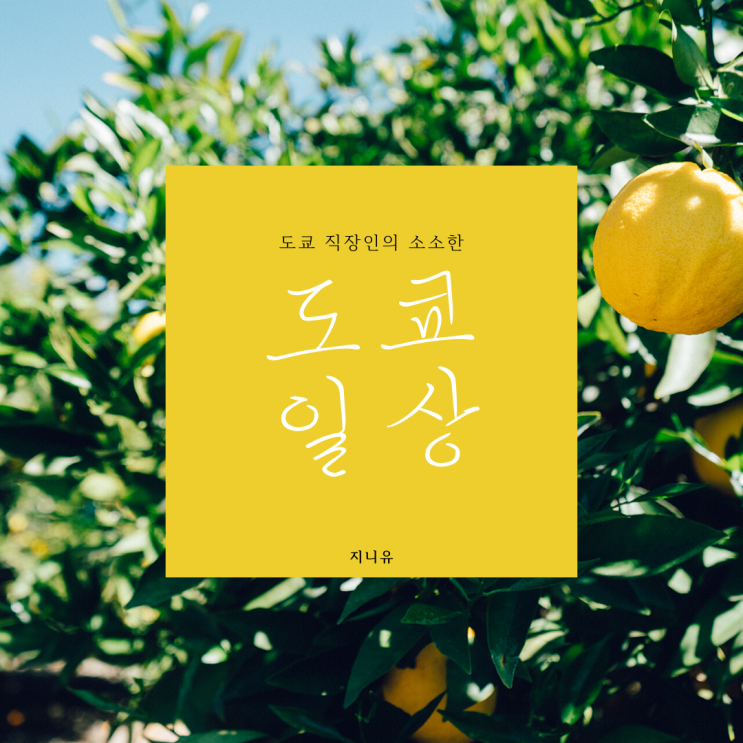  산책하다 모기 물리는 도쿄 일상