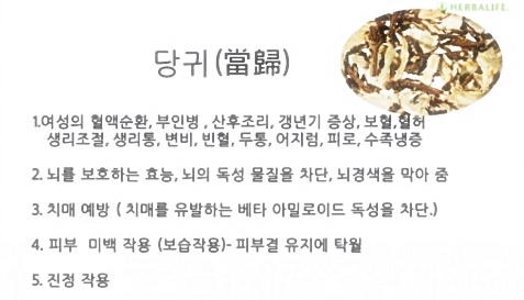  허벌라이프 감마리놀렌산의 효능과 혈액순환 개선