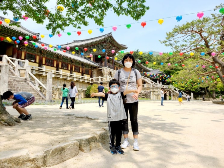 경주 불국사 석가탑 다보탑 우리 민족의 소중한 문화유산 경주 불국사 석가탑 다보탑 우리 민족의 소중한 문화유산