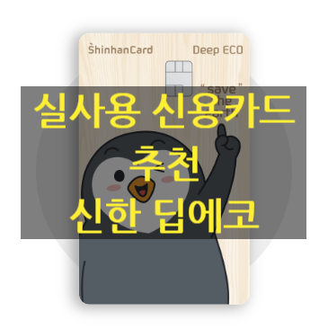  실사용 신용카드 추천 - 신한 딥에코(Deep ECO)