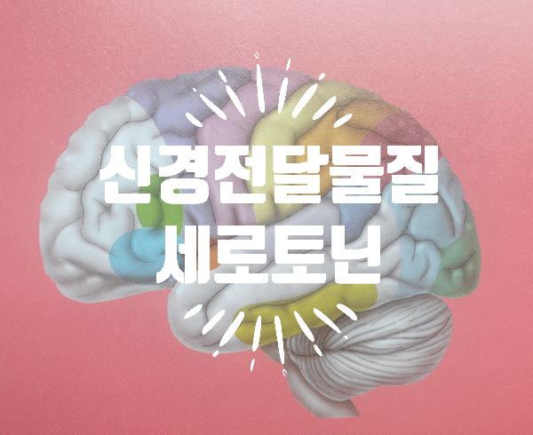  행복한가를 결정짓는 뇌신경전달물질 세로토닌