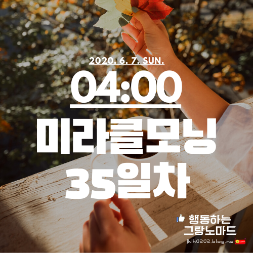  '뜬금없지만 콜드(Colde)노래가 너무 좋아요' 미라클모닝다이어리 35일차