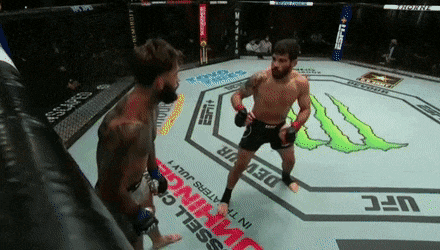 UFC 250: 누네스 vs 스펜서 피니쉬 영상(GIF) 및 뒷얘기