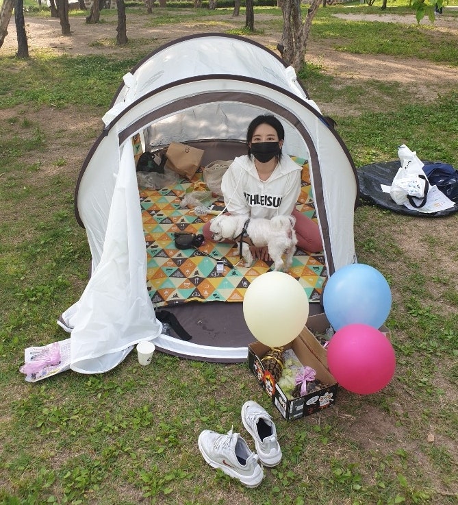 북서울 꿈의숲 가서 텐트치고 도시락먹으며 거북이들 산책시키기