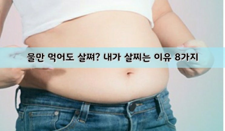 물만 먹어도 살쪄? 내가 살찌는 이유 8가지 물만 먹어도 살쪄? 내가 살찌는 이유 8가지