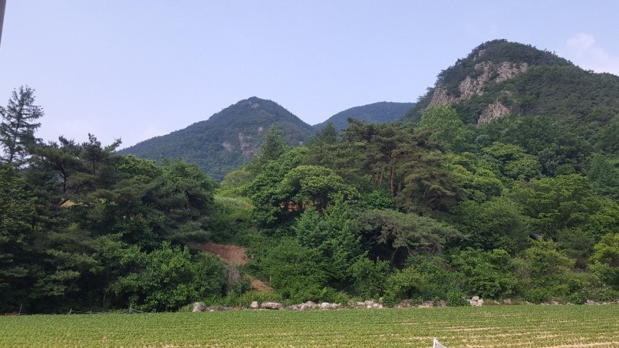 토담산골펜션 사진 3