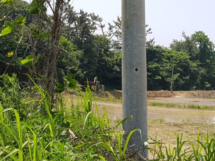 내가 갈 길은 내가 갈 길은
