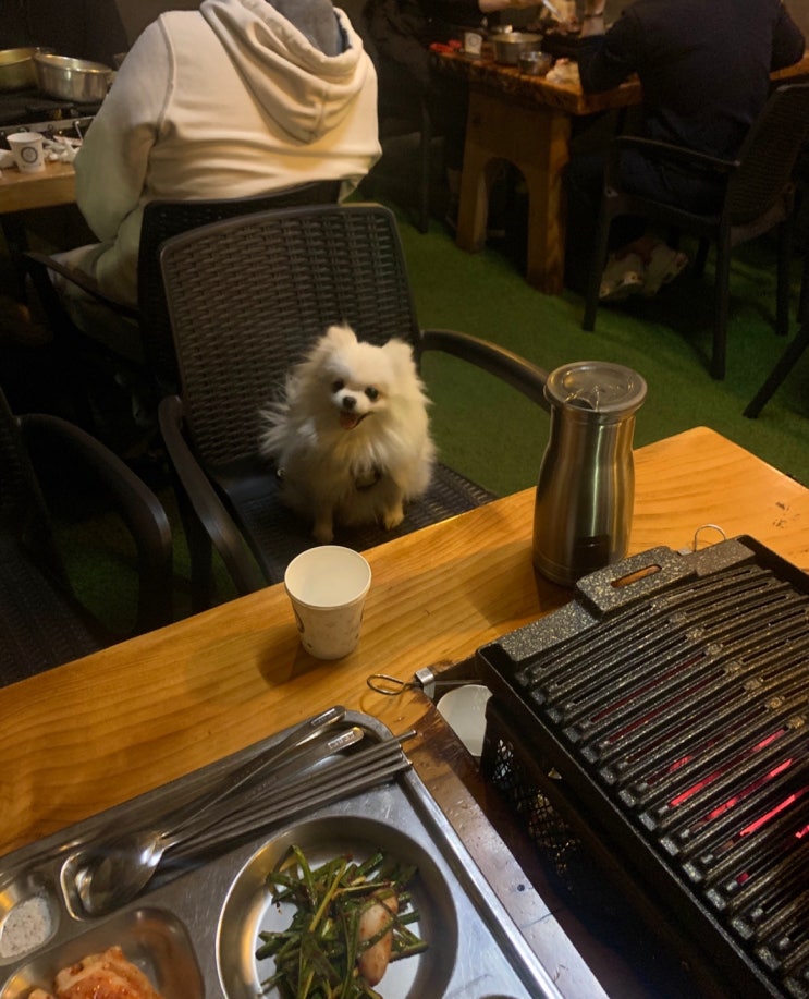  아웃도어키친 한강본점 ; 남양주 애견동반식당, 바베큐, 캠핑형 고깃집