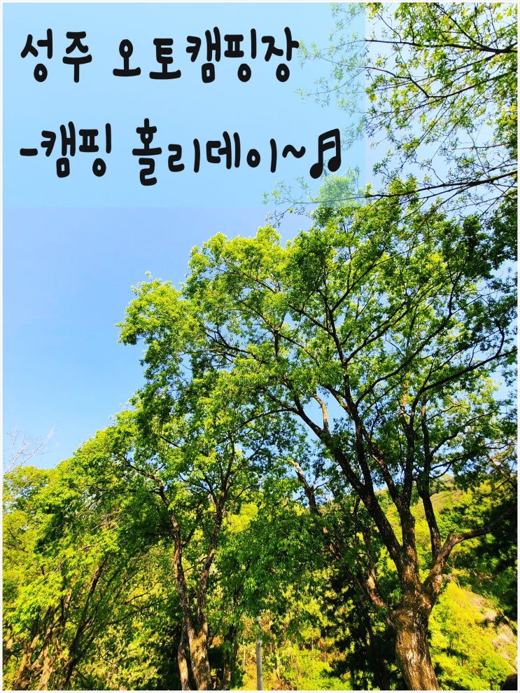  성주 캠핑홀리데이 성주 오토캠핑장