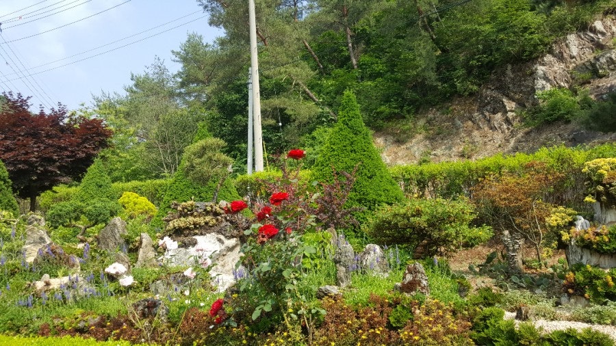 토담산골펜션 사진 6