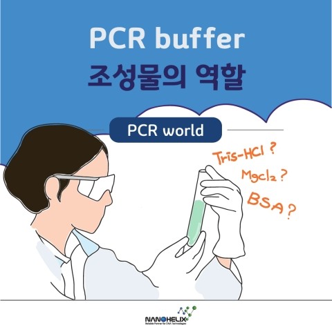  PCR buffer 조성물의 역할