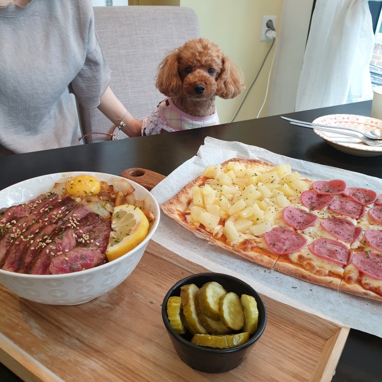  연남동 애견동반 식당 ] 치치 연남점 : 덮밥 맛있는 홍대애견동반맛집