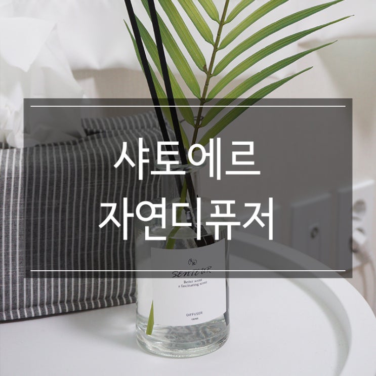실내방향제추천 <샤토에르 자연디퓨저> 이레카야자 초록식물 인테리어 예뻐요 실내방향제추천 <샤토에르 자연디퓨저> 이레카야자 초록식물 인테리어 예뻐요