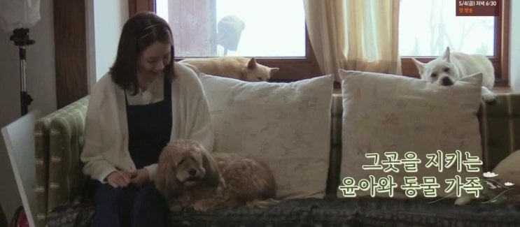  [효리네민박2] 소시 윤아 보고 힐링
