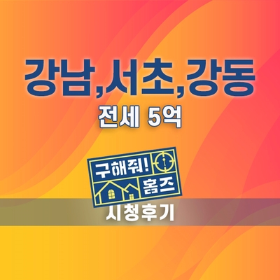 구해줘 홈즈, 서울강남 서초 강동 전세 5억 매물(시청후기)