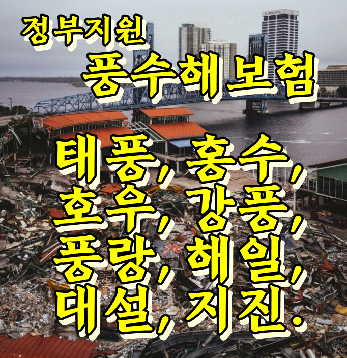  풍수해보험 현대, 삼성, DB, KB, 농협 손해보험 가입방법