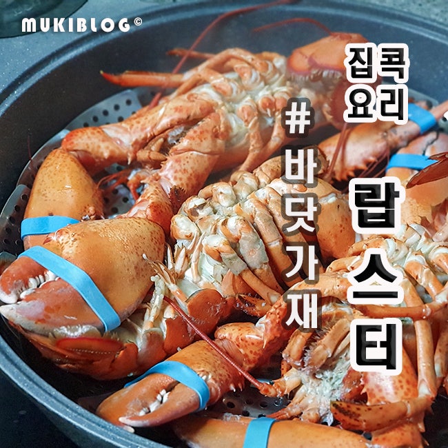 살아있는 랍스터 찌는법, 찌는시간 20분, 랍스타 라면 : 네이버 블로그