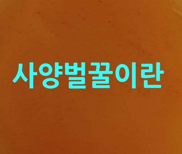  사양벌꿀이란 