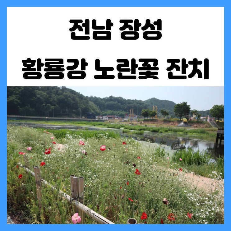 광주 근교 여행 전남 장성 황룡강 생태공원 노란꽃잔치 꽃들의 향연 힐링하고 왔어요 광주 근교 여행 전남 장성 황룡강 생태공원 노란꽃잔치 꽃들의 향연 힐링하고 왔어요