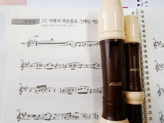  Enjoy리코더베스트40/사랑의괴로움을그대는아는가