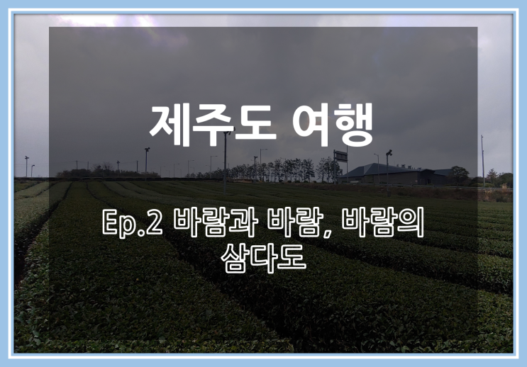  제주도 여행 - Ep.2 바람과 바람, 바람의 삼다도