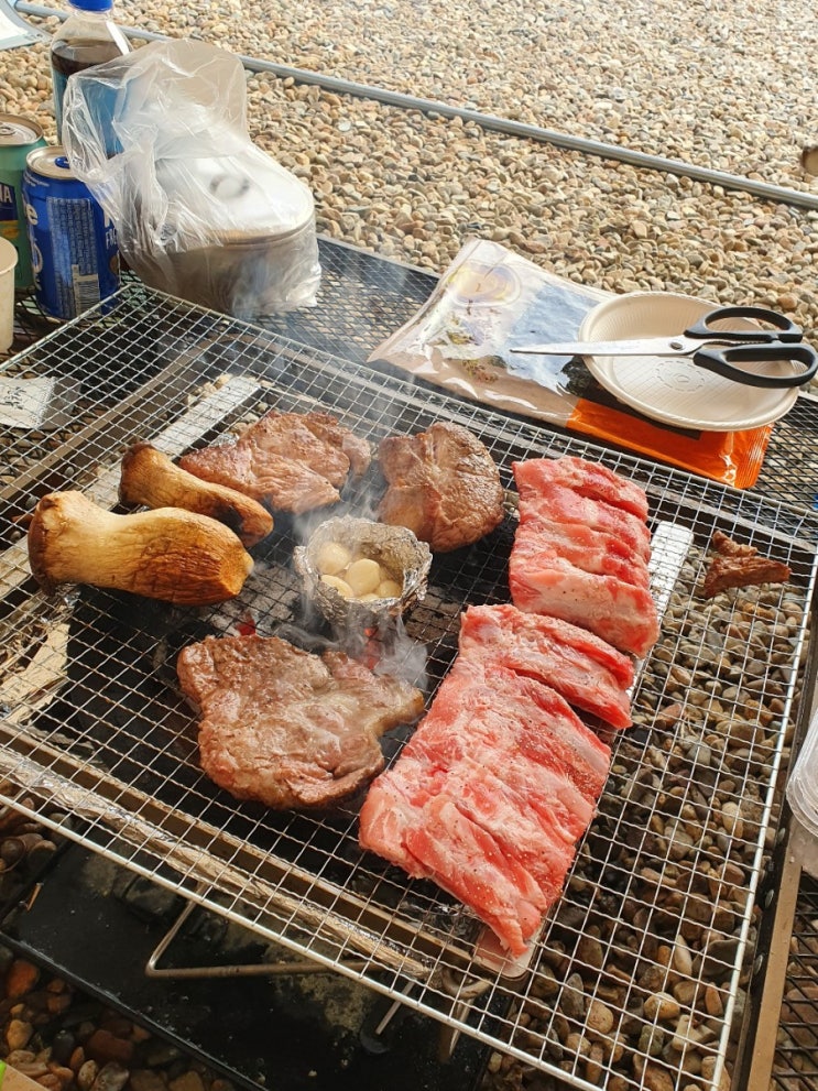  행복했던 경주여행, 분위기 좋은 바베큐장 다솔강펜션ღ