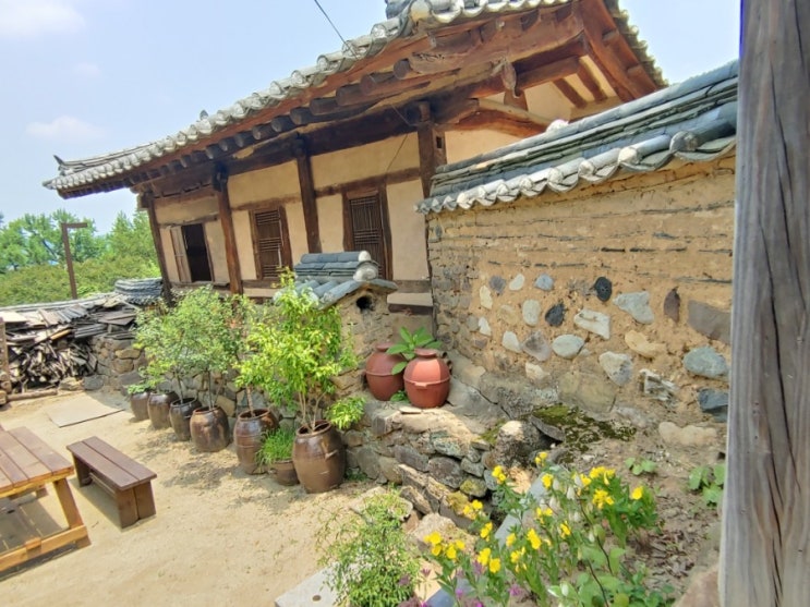 [이솝우화]나이팅게일과 제비