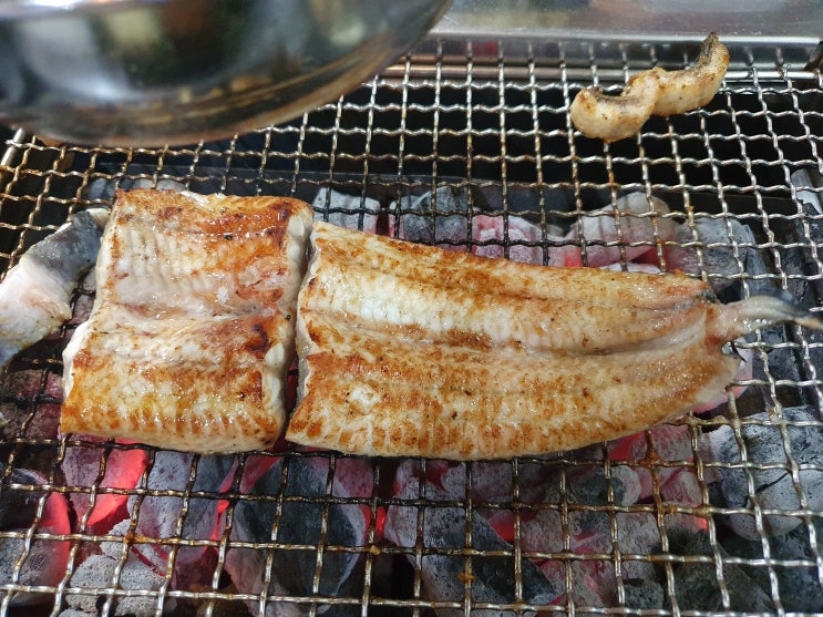 보양식 장어맛집 숫불향 가득한 가성비 갑 풍천장어