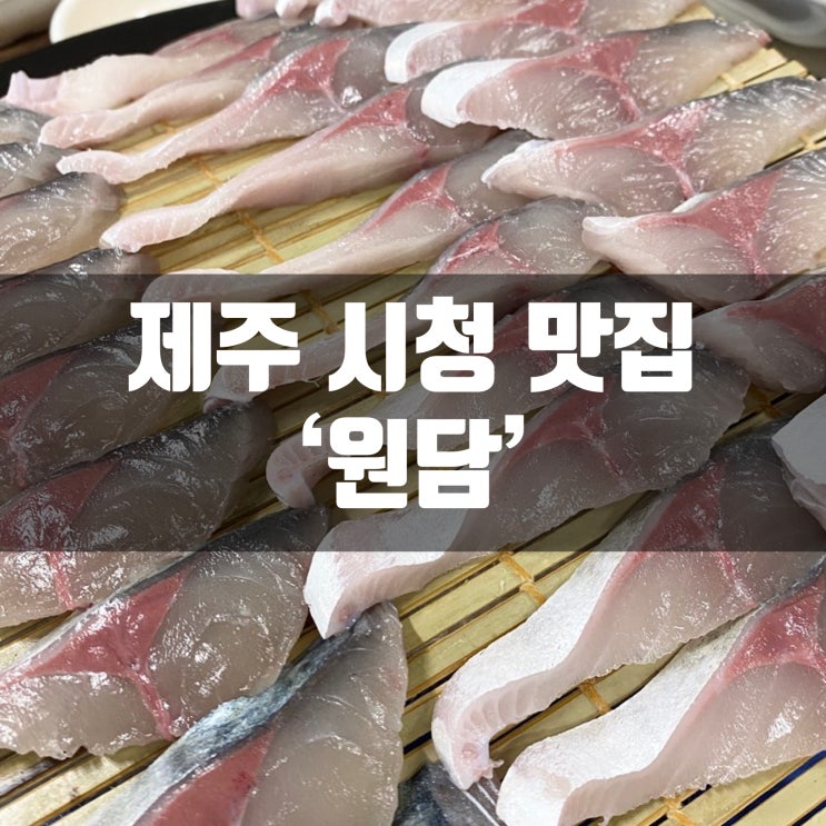  제주 고등어회 맛집, 제주 시청 맛집 원담에서 고등어회, 해산물모듬 먹고 왔어욤!