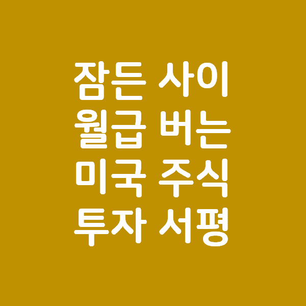  베가스풍류객과 알디슨의 "잠든 사이 월급 버는 미국 주식 투자" 서평