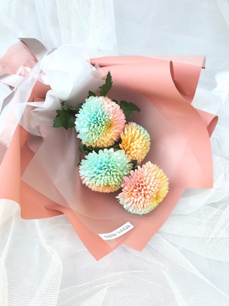 진짜 예쁜 무지개 꽃