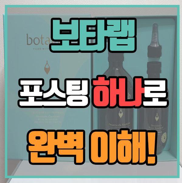  보타랩 - 아직도 모르신다면 포스팅 하나로 정리!