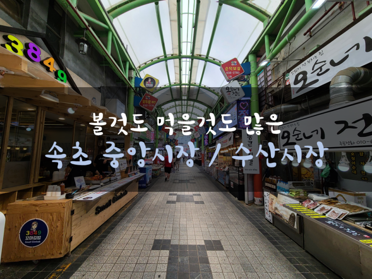 볼것도 먹을것도 많은 속초 중앙시장, 속초수산시장 (feat. 만석닭강정, 속초닭강정, 똑이네새우튀김) 볼것도 먹을것도 많은 속초 중앙시장, 속초수산시장 (feat. 만석닭강정, 속초닭강정, 똑이네새우튀김)