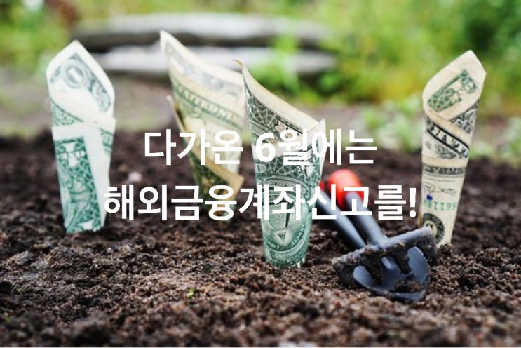  다가온 6월에는 해외금융계좌신고를!