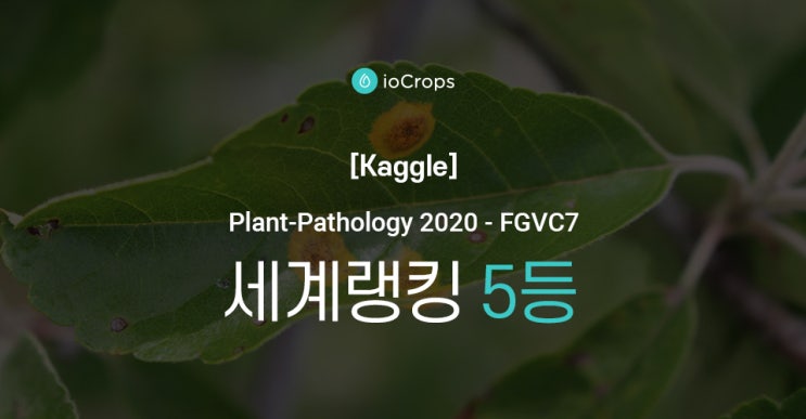 [Kaggle] Plant-Pathology 2020 - FGVC7 세계랭킹 5등!