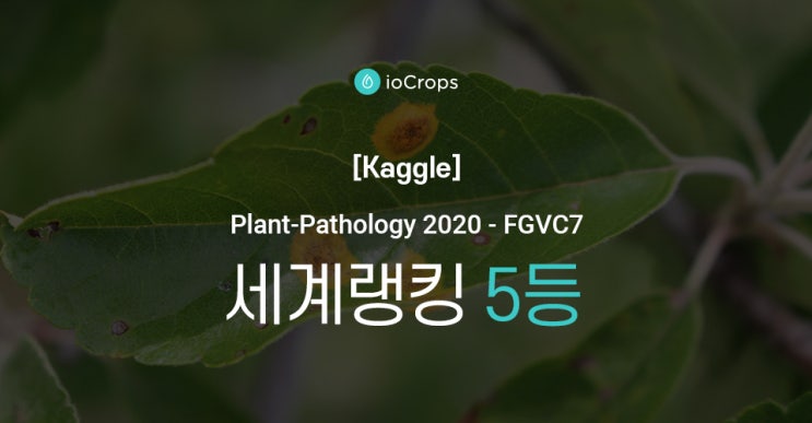  [Kaggle] Plant-Pathology 2020 - FGVC7 세계랭킹 5등!
