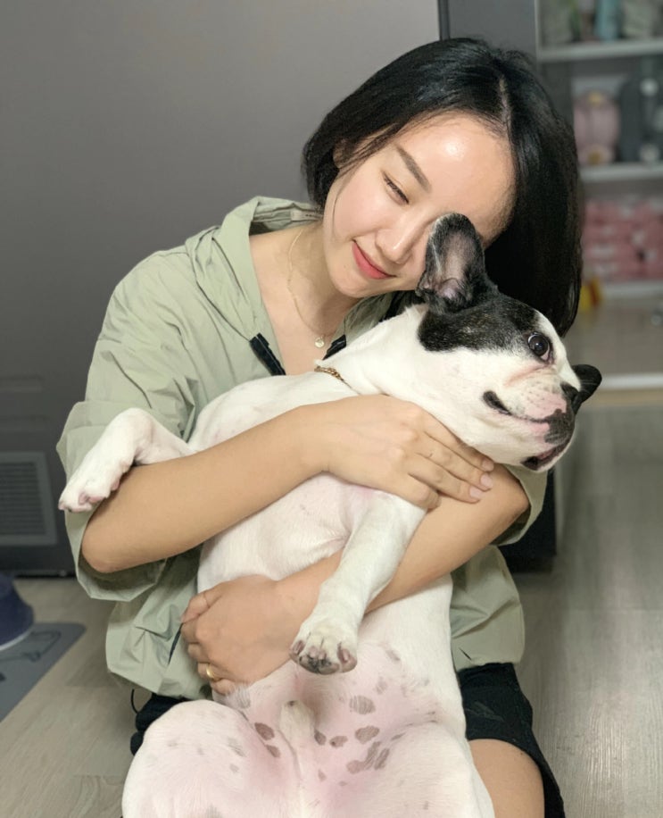  8살 강아지 수영교육 받고 왔어요~