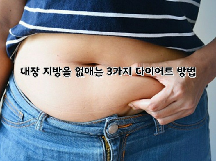 내장 지방 없애는 3가지 다이어트 방법이 있어요!