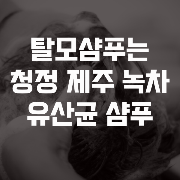 프로바이오틱스 유산균 두피케어 라보에이치 샴푸