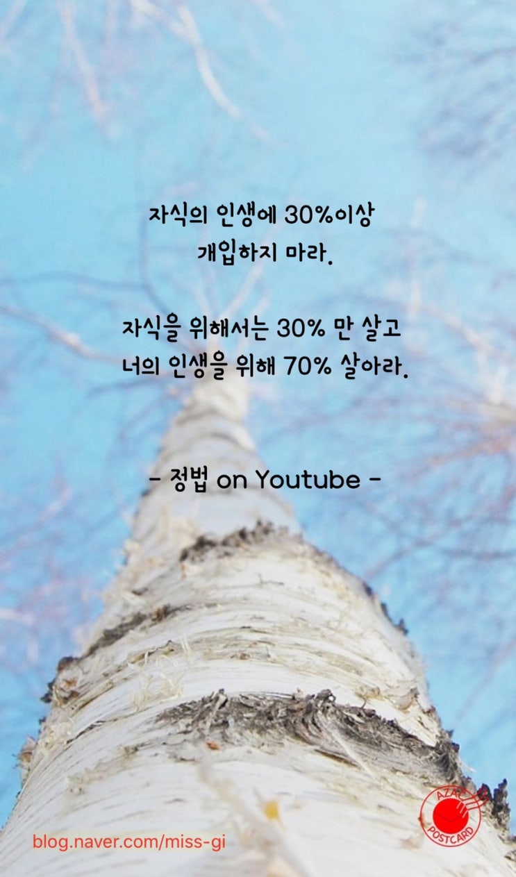  [입도 25일차]마음이 편하고 머리가 가볍고 좋고 좋다