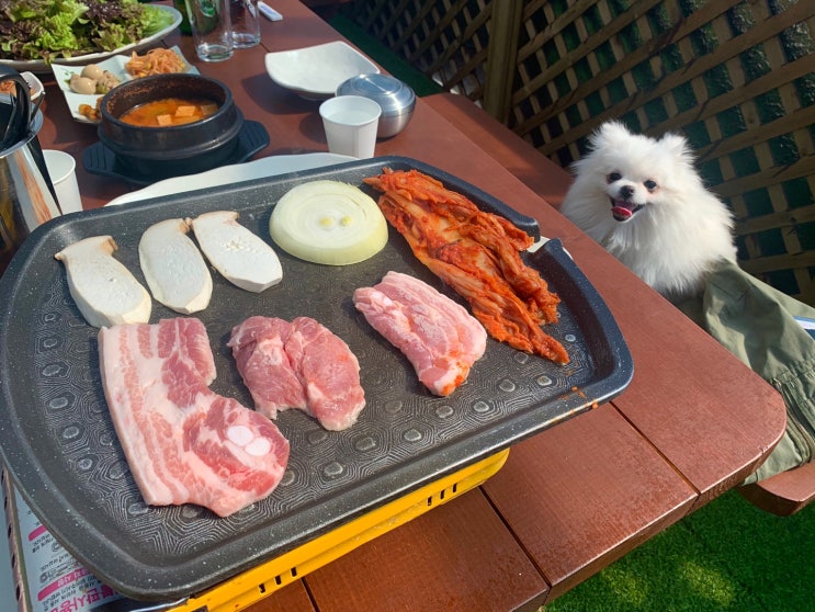  남양주 육갑(6갑) ; 애견운동장, 쌈밥이 맛있는 애견동반식당