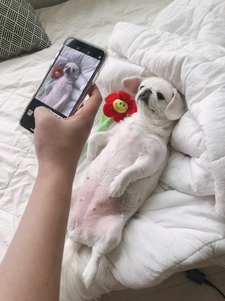  김아지와 꽃돌이의 화보촬영