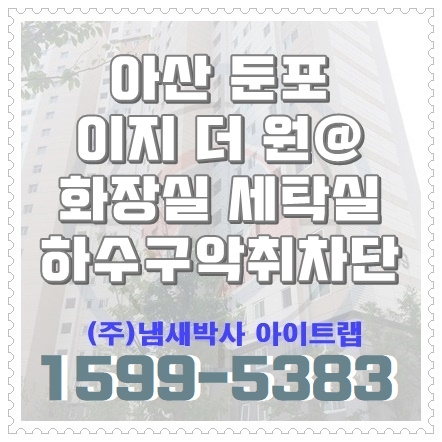  아산하수구냄새차단 화장실 세탁기 모기 해충차단(천안, 대전)