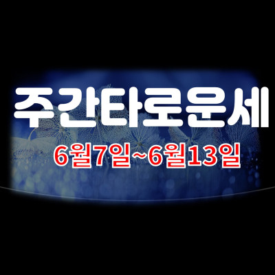  타로주간운세 6월147일~20일 주변사람들에게 조심해야될것들 분당유명한타로 청담동마님