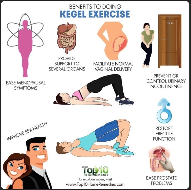 여자 케겔 운동기구, 방법, 효과에 관한 정보 7