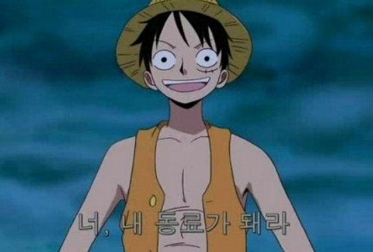  금융권 재직자가 보는 이직을 위한 웹사이트/어플과 특징들