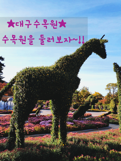  대구 수목원산책 수목원나들이 수목원꽃구경~!!