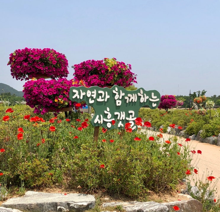  시흥 갯골 생태 공원 그늘막 소금놀이장 여름 아이랑 놀만한 곳